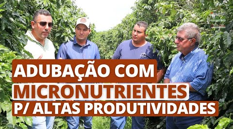 Imagem do Adubação com micronutrientes para altas produtividades (Ep.4)